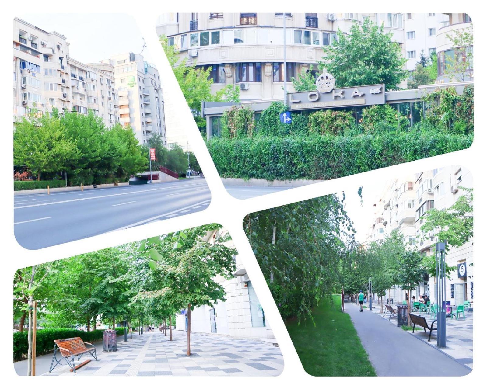 Central Apartament Bulevardul Decebal Bucarest Esterno foto